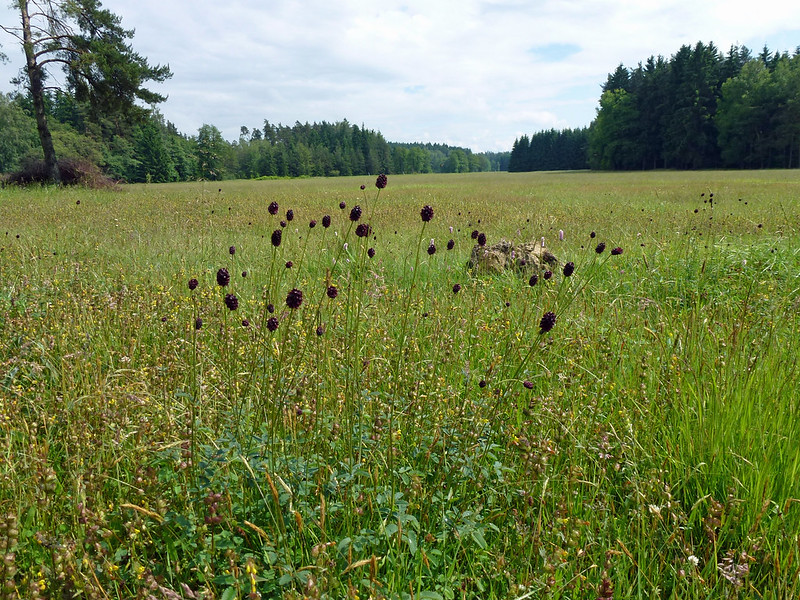 Artenschutz