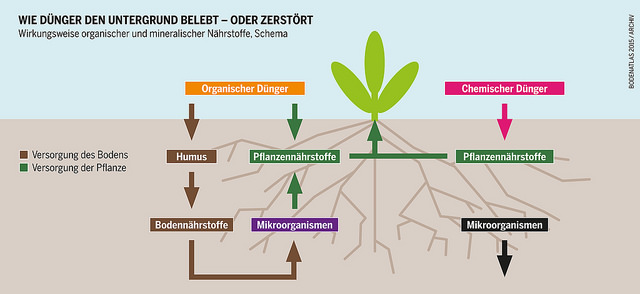 Organischer Dünger - chemischer Dünger