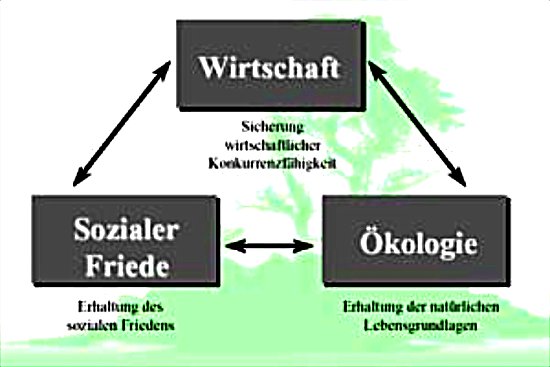 kosoziale Marktwirtschaft